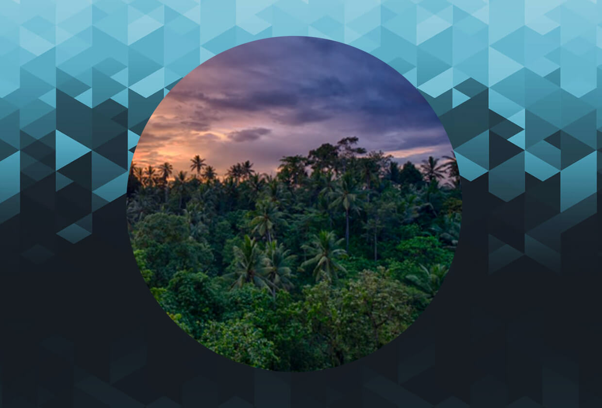 Company Selling NFTs of Amazon Rainforest Receives Probe