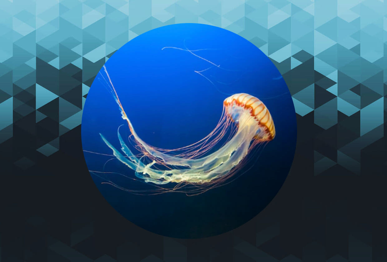 Worlds Oldest Aquarium Launching NFTs