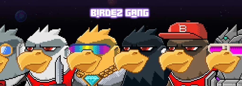 birdez gang genesis nft banner