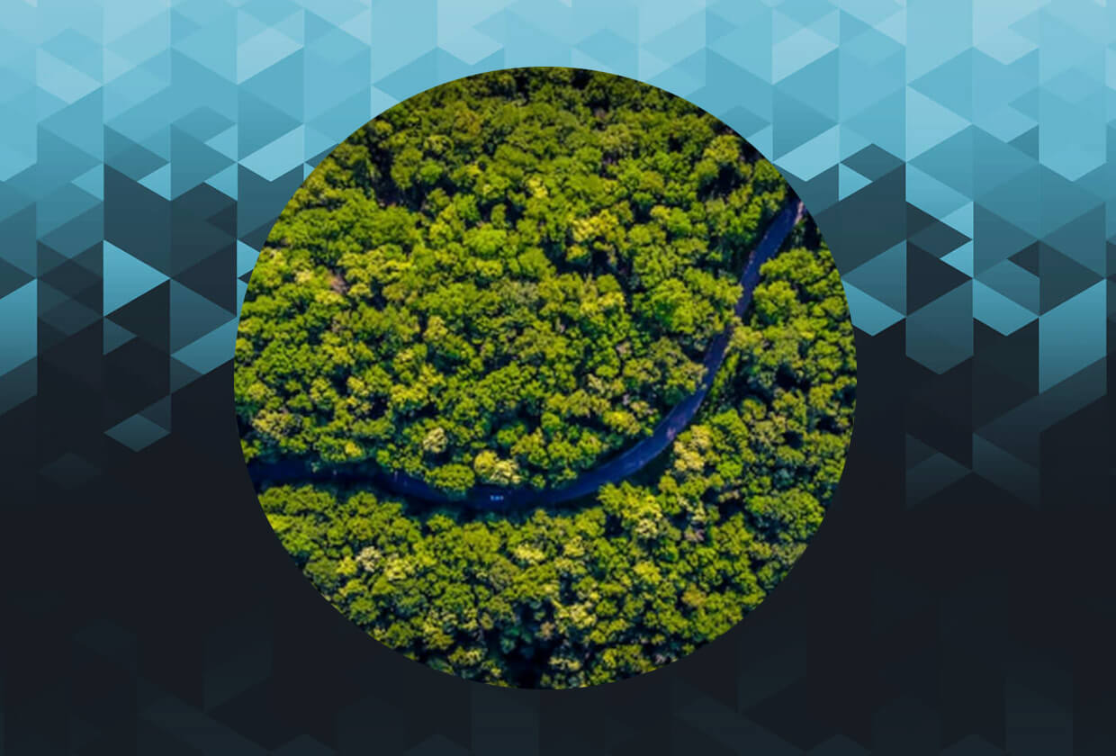 Brazilian Prosecutors Side WIth Indigenous People in NFT Lawsuit